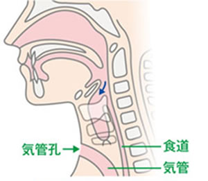 耳鼻咽喉科
