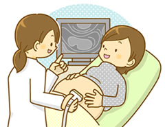 胎児超音波スクリーニング検査